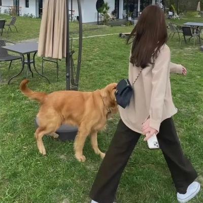 喜剧演员